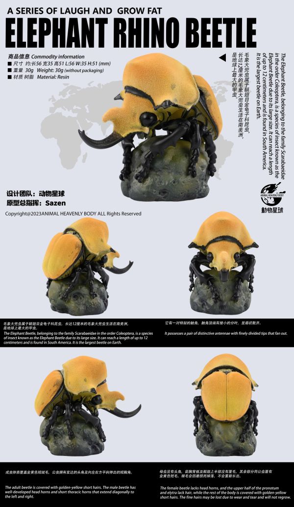 【售罄展示追加請私訊客服@toystationtw】心寬體胖 十七彈一蟲蟲 3.0(預定送特典） X 動物星球 動漫,模型,玩具,gk,玩驛,火影,手辦,海賊,死神,航海王,獵人,阿拉蕾,七大罪,七龍珠,寶可夢,神奇寶貝,哥吉拉,宮崎駿,迪士尼,灌籃高手,鬼滅之日刃,一拳超人,蠟筆小新,咒術,鏈鋸人,進擊的巨人,妖精尾巴,我的英雄學院,我英,鋼鍊,鋼之煉金術師,新世紀福音戰士,EVA,間諜家家酒,Re0,漫威,dc,集美#hex#tsume#prime1#queen#tes#xm#野獸國#壽屋#數碼寶貝