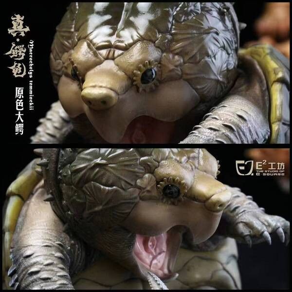 【預購】E 真鱷龜 & 擬鱷龜 鱷龜系列第一彈 X E-SQUAR 動漫,模型,玩具,gk,玩驛,火影,手辦,海賊,死神,航海王,獵人,阿拉蕾,七大罪,七龍珠,寶可夢,神奇寶貝,哥吉拉,宮崎駿,迪士尼,灌籃高手,鬼滅之日刃,一拳超人,蠟筆小新,咒術,鏈鋸人,進擊的巨人,妖精尾巴,我的英雄學院,我英,鋼鍊,鋼之煉金術師,新世紀福音戰士,EVA,間諜家家酒,Re0,漫威,dc,集美#hex#tsume#prime1#queen#tes#xm#野獸國#壽屋#數碼寶貝