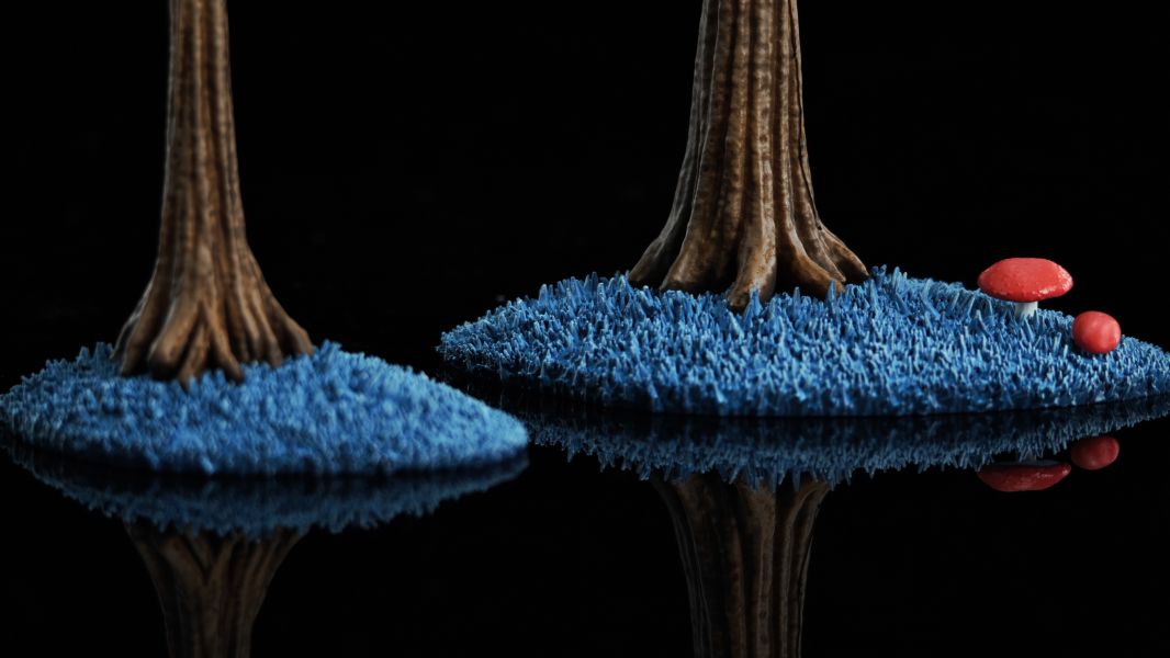 【預購】七龍珠 那美克星樹木  ULTIMATE 桌面場景擺件X 無名堂NOTRICKS STUDIOS 玩驛丨Toy station, GK雕像預購, GK雕像代購, GK雕像現貨, GK雕像修復, 咒術, 咒術迴戰, SCC玩具屋, 玩具給庫, NBA, 瘋公仔, 訂製雕像,模型,伯公仔,gk,玩驛,火影,夜風本舖,海賊,死神,航海王,獵人,阿拉蕾,七大罪,七龍珠,寶可夢,神奇寶貝,哥吉拉,宮崎駿,迪士尼,灌籃高手,鬼滅之刃,一拳超人,蠟筆小新,咒術,鏈鋸人,進擊的巨人,乙骨,我英