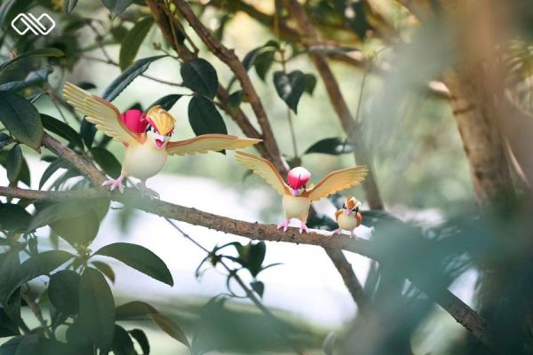 【售罄展示追加請私訊客服@toystationtw】 寶可夢 圖鑑系列 波波進化組 X 無限 玩驛丨Toy station, GK雕像預購, GK雕像代購, GK雕像現貨, GK雕像修復, 咒術, 咒術迴戰, SCC玩具屋, 玩具給庫, 凱多, 尼卡, 訂製雕像,模型,伯公仔,gk,玩驛,火影,夜風本舖,海賊,死神,航海王,獵人,終結谷,七大罪,七龍珠,寶可夢,火影,哥吉拉,宮崎駿,迪士尼,灌籃高手,凱多,鳴人,蠟筆小新,殺生丸,鏈鋸人,進擊的巨人,乙骨,我英