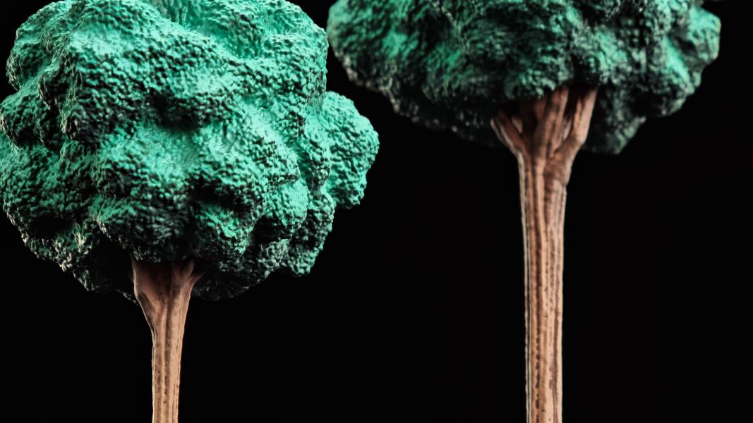 【預購】七龍珠 那美克星樹木  ULTIMATE 桌面場景擺件X 無名堂NOTRICKS STUDIOS 玩驛丨Toy station, GK雕像預購, GK雕像代購, GK雕像現貨, GK雕像修復, 咒術, 咒術迴戰, SCC玩具屋, 玩具給庫, NBA, 瘋公仔, 訂製雕像,模型,伯公仔,gk,玩驛,火影,夜風本舖,海賊,死神,航海王,獵人,阿拉蕾,七大罪,七龍珠,寶可夢,神奇寶貝,哥吉拉,宮崎駿,迪士尼,灌籃高手,鬼滅之刃,一拳超人,蠟筆小新,咒術,鏈鋸人,進擊的巨人,乙骨,我英