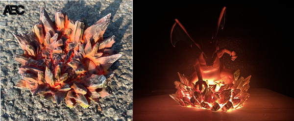 【售罄展示追加請私訊客服@toystationtw】寶可夢圖鑑比例系列 噴火龍  (雙版本) X ABC 動漫,模型,玩具,gk,玩驛,火影,手辦,海賊,死神,航海王,獵人,阿拉蕾,七大罪,七龍珠,寶可夢,神奇寶貝,哥吉拉,宮崎駿,迪士尼,灌籃高手,鬼滅之日刃,一拳超人,蠟筆小新,咒術,鏈鋸人,進擊的巨人,妖精尾巴,我的英雄學院,我英,鋼鍊,鋼之煉金術師,新世紀福音戰士,EVA,間諜家家酒,Re0,漫威,dc,集美#hex#tsume#prime1#queen#tes#xm#野獸國#壽屋#數碼寶貝