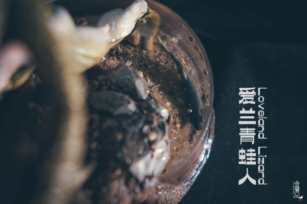 【售罄展示追加請私訊客服@toystationtw】愛蘭青蛙人 神秘目擊系列 X 滄溟工作室 動漫,模型,玩具,gk,玩驛,火影,手辦,海賊,死神,航海王,獵人,阿拉蕾,七大罪,七龍珠,寶可夢,神奇寶貝,哥吉拉,宮崎駿,迪士尼,灌籃高手,鬼滅之日刃,一拳超人,蠟筆小新,咒術,鏈鋸人,進擊的巨人,妖精尾巴,我的英雄學院,我英,鋼鍊,鋼之煉金術師,新世紀福音戰士,EVA,間諜家家酒,Re0,漫威,dc,集美#hex#tsume#prime1#queen#tes#xm#野獸國#壽屋#數碼寶貝