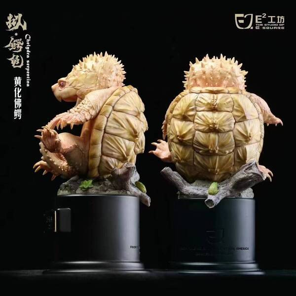 【預購】E 真鱷龜 & 擬鱷龜 鱷龜系列第一彈 X E-SQUAR 動漫,模型,玩具,gk,玩驛,火影,手辦,海賊,死神,航海王,獵人,阿拉蕾,七大罪,七龍珠,寶可夢,神奇寶貝,哥吉拉,宮崎駿,迪士尼,灌籃高手,鬼滅之日刃,一拳超人,蠟筆小新,咒術,鏈鋸人,進擊的巨人,妖精尾巴,我的英雄學院,我英,鋼鍊,鋼之煉金術師,新世紀福音戰士,EVA,間諜家家酒,Re0,漫威,dc,集美#hex#tsume#prime1#queen#tes#xm#野獸國#壽屋#數碼寶貝