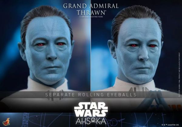 【預購】星戰 阿索卡 Thrawn 索龍元帥 1/6可動人偶 X 正版授權 HOTTOYS 動漫,模型,玩具,gk,玩驛,火影,手辦,海賊,死神,航海王,獵人,阿拉蕾,七大罪,七龍珠,寶可夢,神奇寶貝,哥吉拉,宮崎駿,迪士尼,灌籃高手,鬼滅之日刃,一拳超人,蠟筆小新,咒術,鏈鋸人,進擊的巨人,妖精尾巴,我的英雄學院,我英,鋼鍊,鋼之煉金術師,新世紀福音戰士,EVA,間諜家家酒,Re0,漫威,dc,集美#hex#tsume#prime1#queen#tes#xm#野獸國#壽屋#數碼寶貝