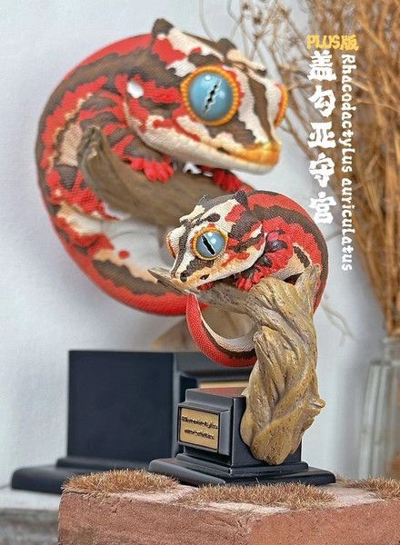 【售罄展示追加請私訊客服@toystationtw】蓋勾亞 & 睫角 & 棘皮 守宮PLUS X 博物誌 動漫,模型,玩具,gk,玩驛,火影,手辦,海賊,死神,航海王,獵人,阿拉蕾,七大罪,七龍珠,寶可夢,神奇寶貝,哥吉拉,宮崎駿,迪士尼,灌籃高手,鬼滅之日刃,一拳超人,蠟筆小新,咒術,鏈鋸人,進擊的巨人,妖精尾巴,我的英雄學院,我英,鋼鍊,鋼之煉金術師,新世紀福音戰士,EVA,間諜家家酒,Re0,漫威,dc,集美#hex#tsume#prime1#queen#tes#xm#野獸國#壽屋#數碼寶貝