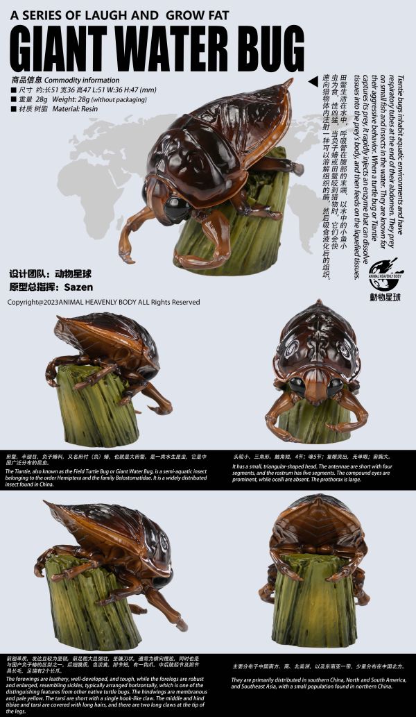 【售罄展示追加請私訊客服@toystationtw】心寬體胖 十七彈一蟲蟲 3.0(預定送特典） X 動物星球 動漫,模型,玩具,gk,玩驛,火影,手辦,海賊,死神,航海王,獵人,阿拉蕾,七大罪,七龍珠,寶可夢,神奇寶貝,哥吉拉,宮崎駿,迪士尼,灌籃高手,鬼滅之日刃,一拳超人,蠟筆小新,咒術,鏈鋸人,進擊的巨人,妖精尾巴,我的英雄學院,我英,鋼鍊,鋼之煉金術師,新世紀福音戰士,EVA,間諜家家酒,Re0,漫威,dc,集美#hex#tsume#prime1#queen#tes#xm#野獸國#壽屋#數碼寶貝