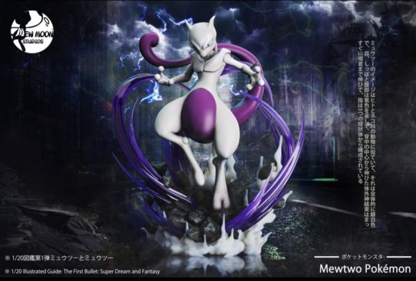 【售罄展示追加請私訊客服@toystationtw】寶可夢 圖鑑系列第一彈 夢幻與超夢 X Mew Moon 動漫,模型,玩具,gk,玩驛,火影,手辦,海賊,死神,航海王,獵人,阿拉蕾,七大罪,七龍珠,寶可夢,神奇寶貝,哥吉拉,宮崎駿,迪士尼,灌籃高手,鬼滅之日刃,一拳超人,蠟筆小新,咒術,鏈鋸人,進擊的巨人,妖精尾巴,我的英雄學院,我英,鋼鍊,鋼之煉金術師,新世紀福音戰士,EVA,間諜家家酒,Re0,漫威,dc,集美#hex#tsume#prime1#queen#tes#xm#野獸國#壽屋#數碼寶貝