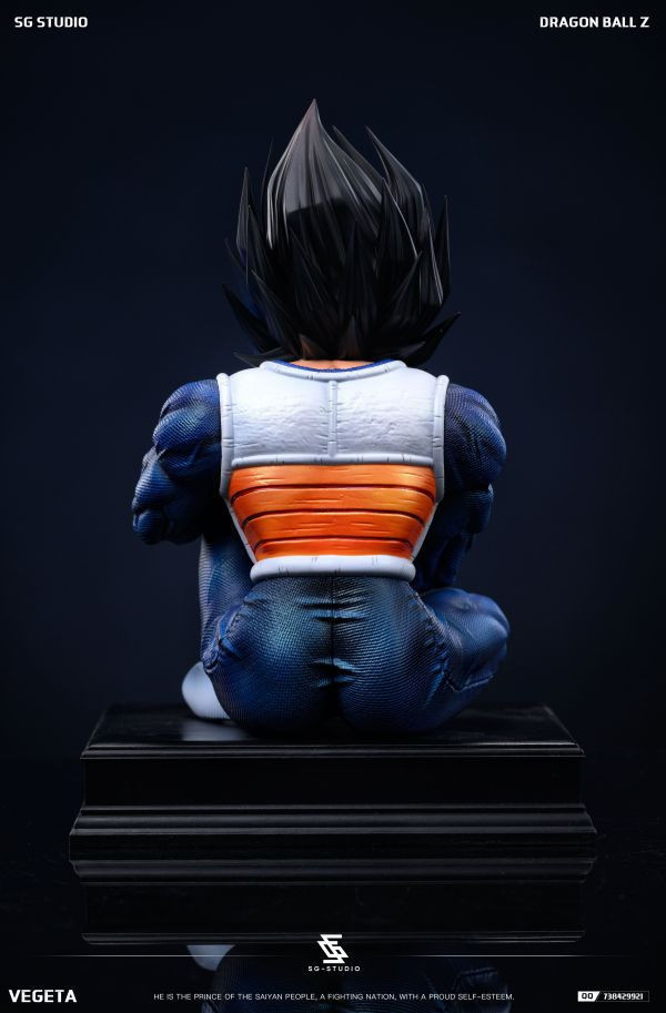 【補款】七龍珠 那美克星篇 貝吉塔 X SG-Studio 玩驛丨Toy station, GK雕像預購, GK雕像代購, GK雕像現貨, GK雕像修復, 咒術, 咒術迴戰, SCC玩具屋, 玩具給庫, NBA, 瘋公仔, 訂製雕像,模型,伯公仔,gk,玩驛,火影,夜風本舖,海賊,死神,航海王,獵人,阿拉蕾,七大罪,七龍珠,寶可夢,神奇寶貝,哥吉拉,宮崎駿,迪士尼,灌籃高手,鬼滅之刃,一拳超人,蠟筆小新,咒術,鏈鋸人,進擊的巨人,乙骨,我英
