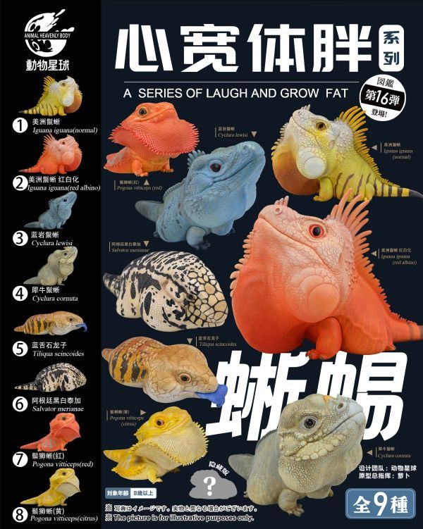 【售罄展示追加請私訊客服@toystationtw】動物星球 心寬體胖系列十六彈（預訂送特典） 動漫,模型,玩具,gk,玩驛,火影,手辦,海賊,死神,航海王,獵人,阿拉蕾,七大罪,七龍珠,寶可夢,神奇寶貝,哥吉拉,宮崎駿,迪士尼,灌籃高手,鬼滅之日刃,一拳超人,蠟筆小新,咒術,鏈鋸人,進擊的巨人,妖精尾巴,我的英雄學院,我英,鋼鍊,鋼之煉金術師,新世紀福音戰士,EVA,間諜家家酒,Re0,漫威,dc,集美#hex#tsume#prime1#queen#tes#xm#野獸國#壽屋#數碼寶貝