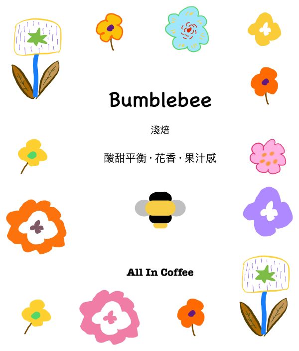 『配方豆』Bumblebee 熊蜂 淺焙配方 半磅 225g 