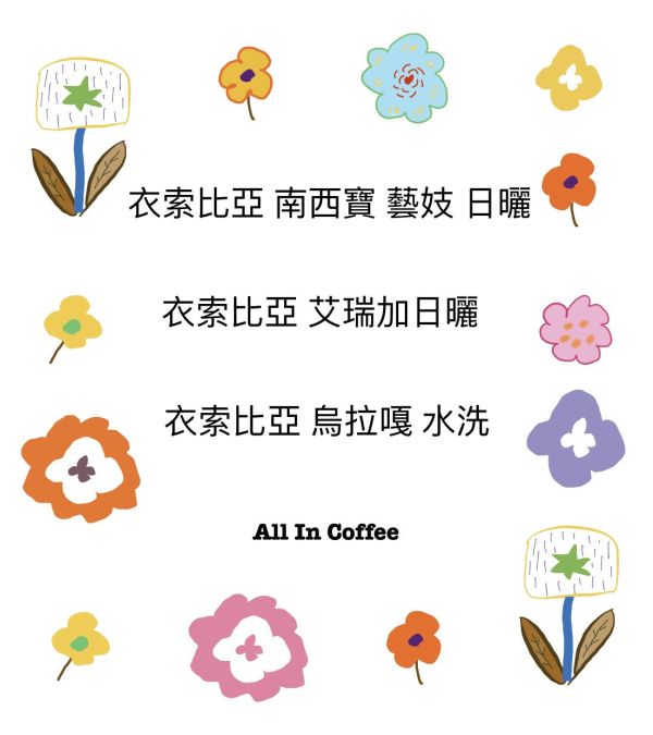 『淺焙』衣索比亞組合 日曬Gesha+日曬+水洗