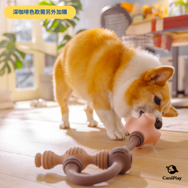 CaniPlay Galaxy kit｜1組2入 寵物玩具,狗狗玩具,狗狗抗憂鬱玩具,抗焦慮玩具,寵物玩具推薦