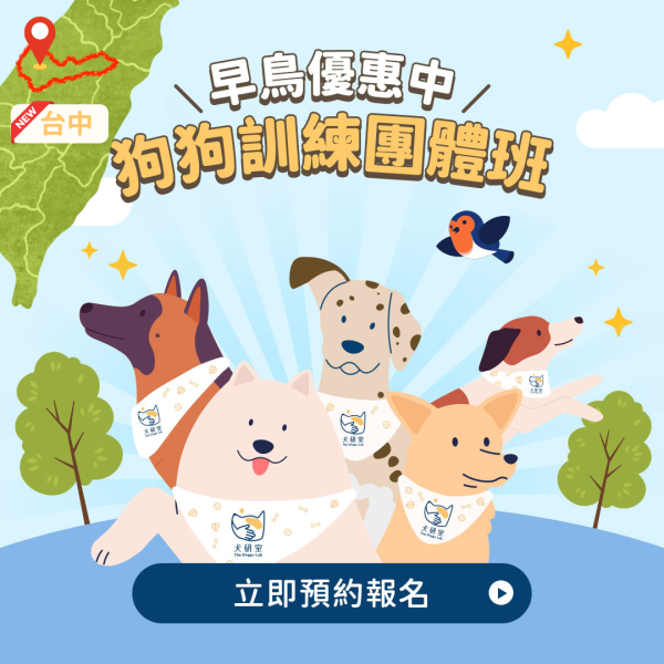 台中團體班_幼幼、基礎｜報名至03/10 犬研室團體班課程, 狗狗團體班, 狗狗訓練, 寵物訓練, 正向訓練, 狗狗訓練師, 寵物訓練師,  寵物訓練師大雄, 狗狗訓練師大雄,  狗狗基礎班, 狗狗幼幼班,  寵物幼幼班,  寵物基礎班