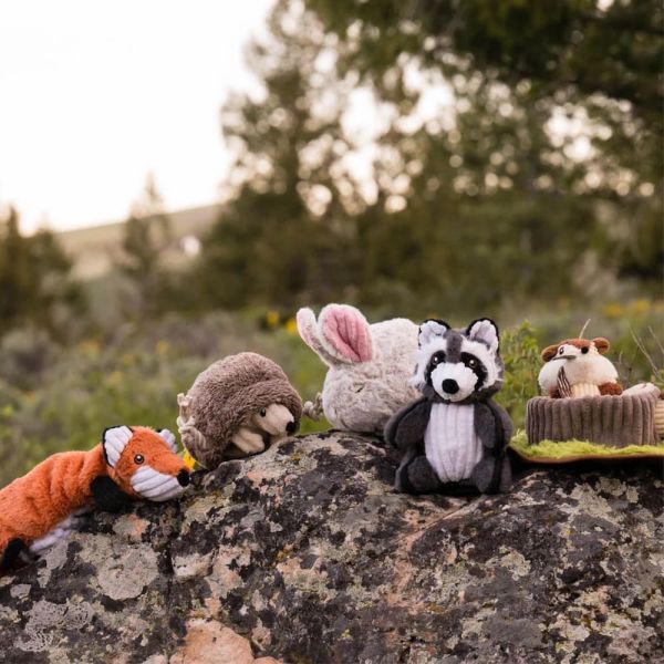 【P.L.A.Y.森林小夥伴Forest Friends】寵物陪伴、抗憂鬱玩具 