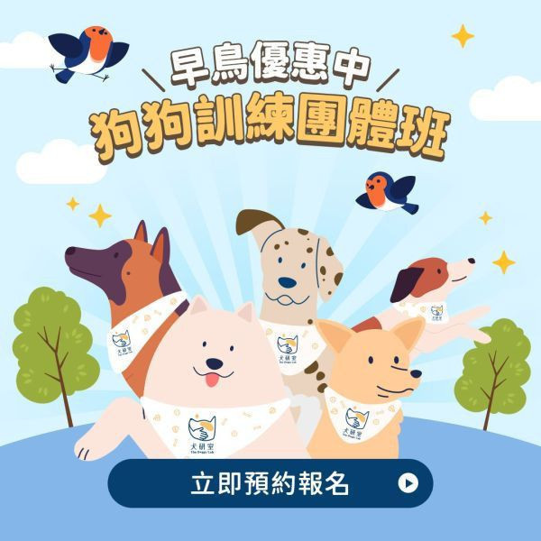高雄、台北團體班_幼幼、基礎｜2/16 報名截止 犬研室團體班課程, 狗狗團體班, 狗狗訓練, 寵物訓練, 正向訓練, 狗狗訓練師, 寵物訓練師, 狗狗訓練師菲力, 寵物訓練師, 寵物訓練師菲力, 高雄狗狗訓練, 高雄狗狗團體班, 高雄寵物訓練, 高雄正向訓練