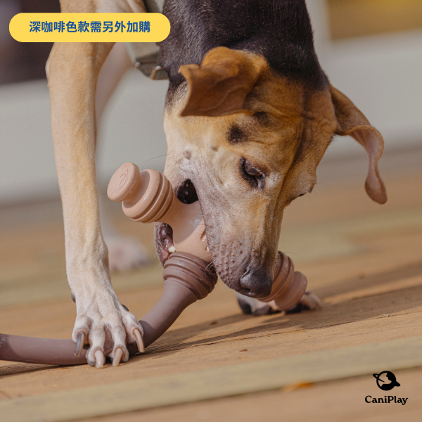 CaniPlay Galaxy kit｜1組2入 寵物玩具,狗狗玩具,狗狗抗憂鬱玩具,抗焦慮玩具,寵物玩具推薦