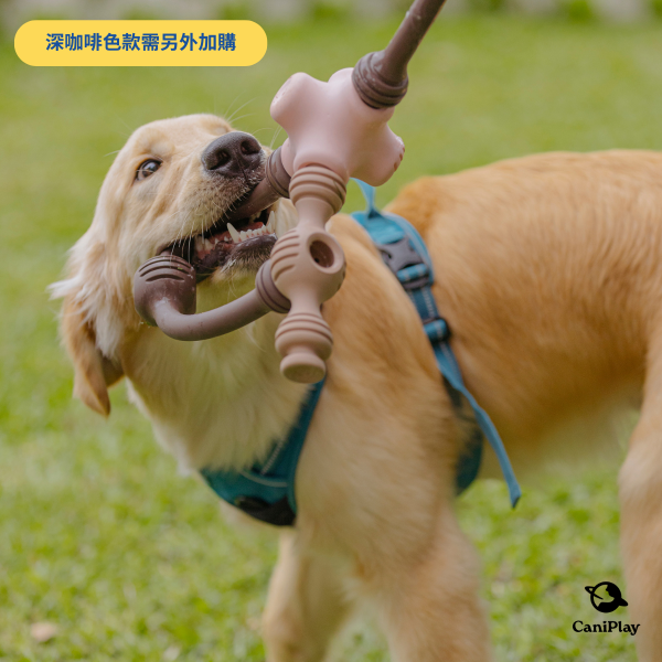 CaniPlay Galaxy kit｜1組2入 寵物玩具,狗狗玩具,狗狗抗憂鬱玩具,抗焦慮玩具,寵物玩具推薦