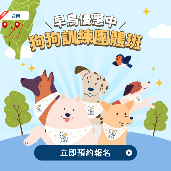 台南團體班_幼幼教養班、青少年探索班｜報名至07/07 犬研室團體班課程, 狗狗團體班, 狗狗訓練, 寵物訓練, 正向訓練, 狗狗訓練師, 寵物訓練師,  寵物訓練師大雄, 狗狗訓練師大雄,  狗狗基礎班, 狗狗幼幼班,  寵物幼幼班,  寵物基礎班