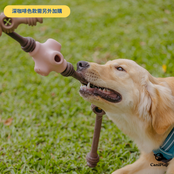 CaniPlay Galaxy kit｜1組2入 寵物玩具,狗狗玩具,狗狗抗憂鬱玩具,抗焦慮玩具,寵物玩具推薦