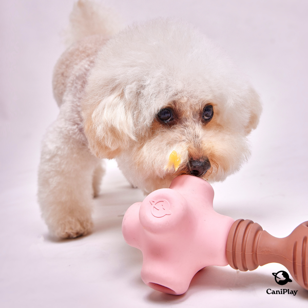 CaniPlay Galaxy kit｜1組2入 寵物玩具,狗狗玩具,狗狗抗憂鬱玩具,抗焦慮玩具,寵物玩具推薦