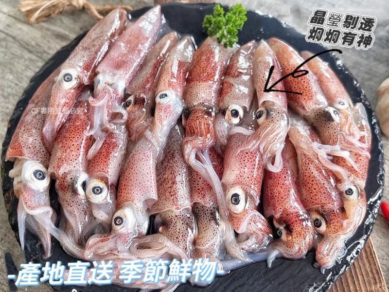 【台灣本港咪咪小卷】 