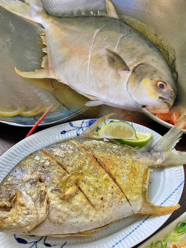 【台灣海水黃金鯧】 