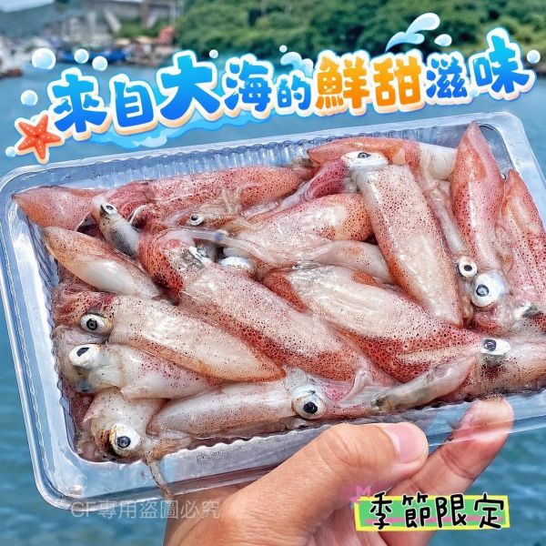 【台灣本港咪咪小卷】 