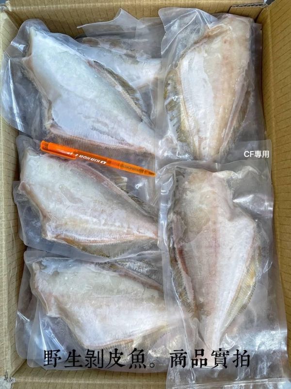 【南方澳野生剝皮魚】 