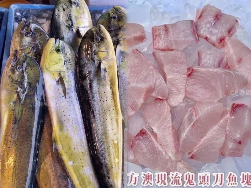 【南方澳現流鬼頭刀魚塊】 