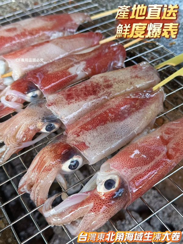 【台灣東北角船凍生大卷】3-7尾 