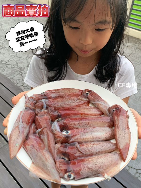 【台灣東北角船凍生大卷】3-7尾 