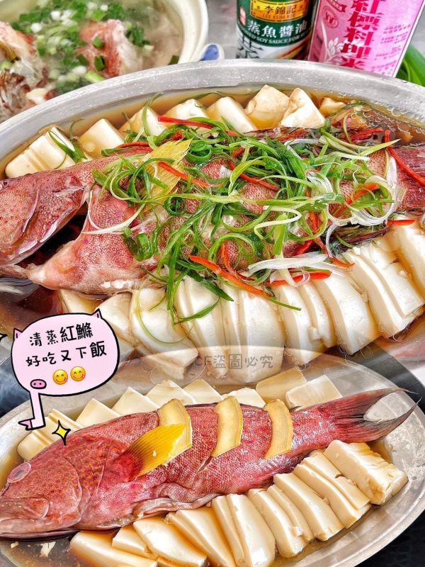 【野生紅鰷石斑魚】 