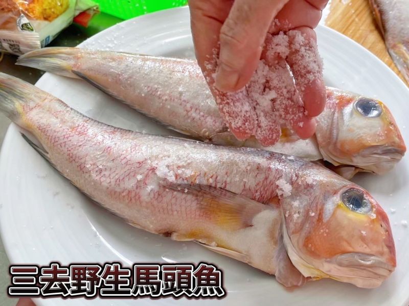 【三去野生馬頭魚】 