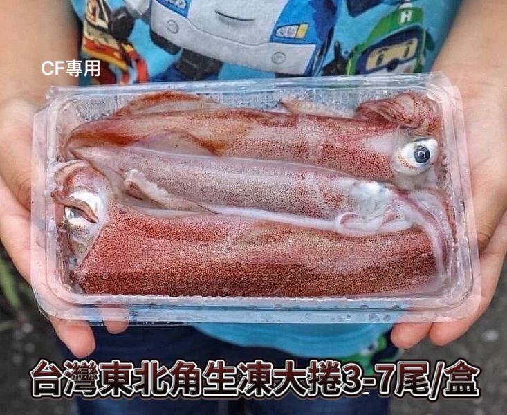 【台灣東北角船凍生大卷】3-7尾 