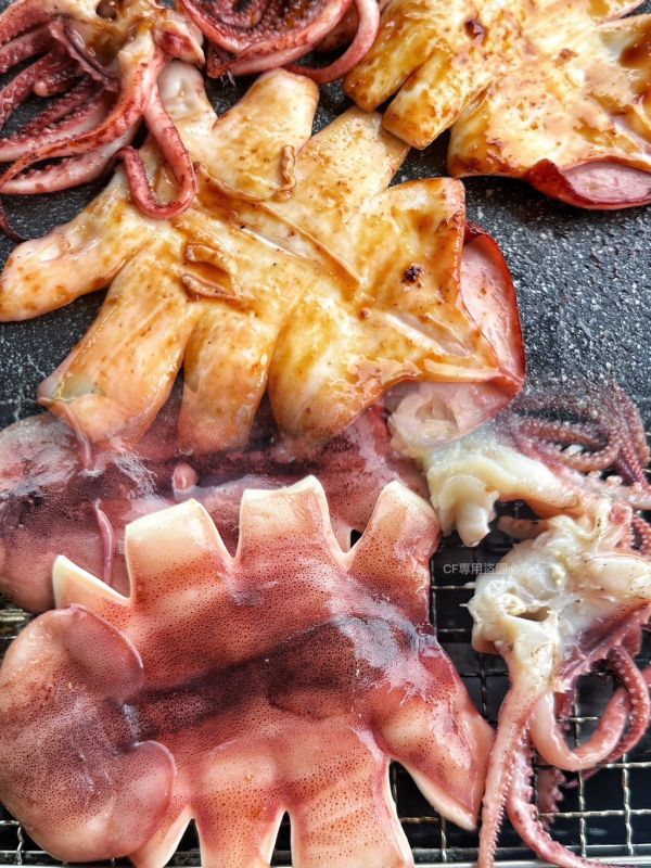 【六源味-魷魚一夜干】 
