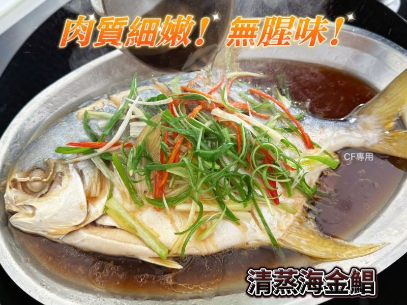 【台灣海水黃金鯧】 