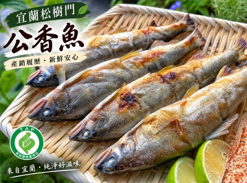 【宜蘭松樹門-產銷履歷公香魚】#3-4尾裝 
