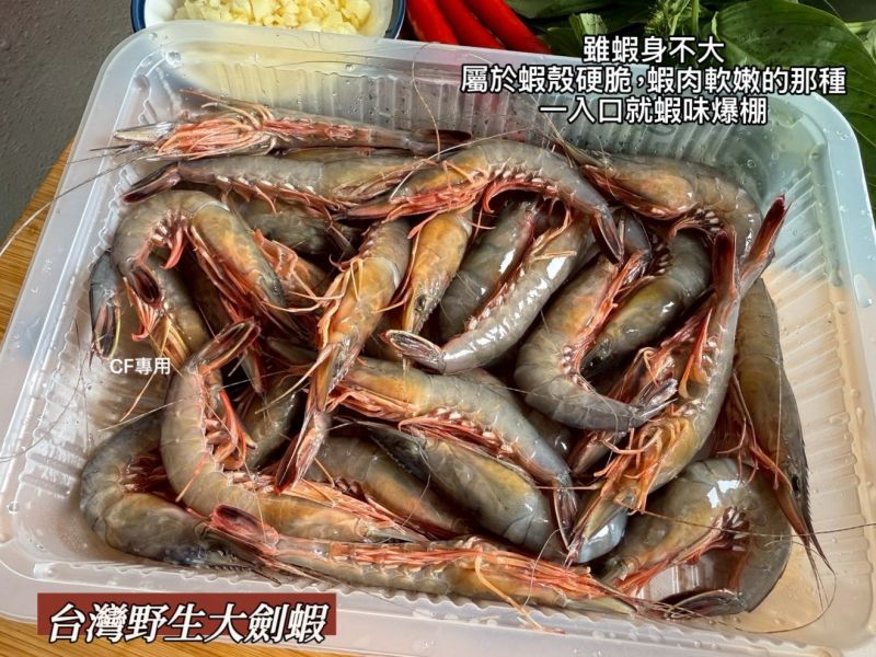 【台灣野生老劍蝦300g】 