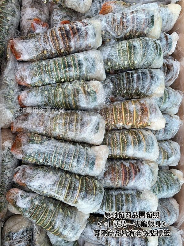 【野生捕撈-頂級貝里斯龍蝦身6/7 盎司】 