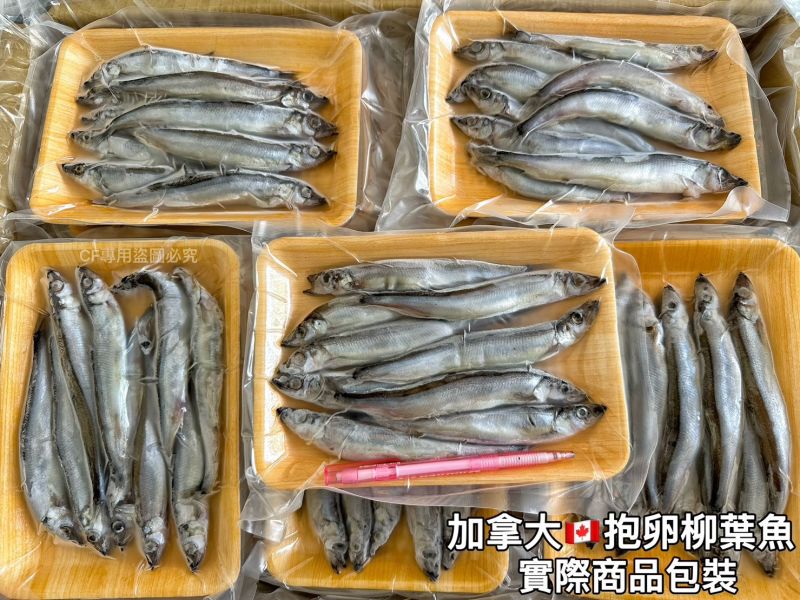【加拿大抱卵柳葉魚】#純重 #無包冰 