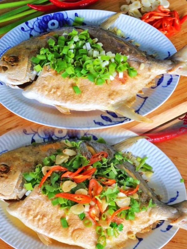 【台灣海水黃金鯧】 