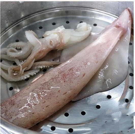 【台灣野生透抽】 
