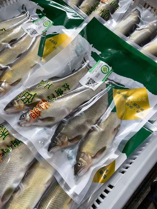 【產銷履歷抱卵母香魚】3-4尾裝 
