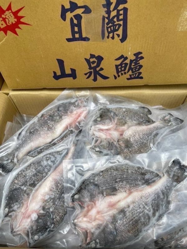 【宜蘭山泉鱸魚】蝴蝶切 