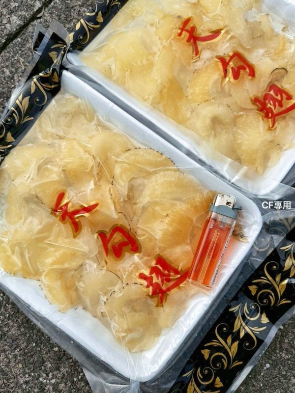 【魚翅】 (天勾翅) 