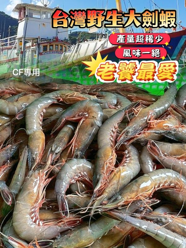 【台灣野生老劍蝦300g】 