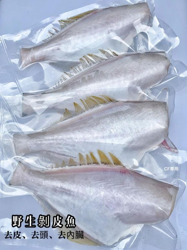 【南方澳野生剝皮魚】 