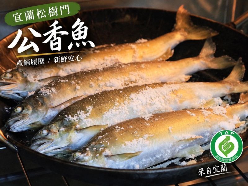 【宜蘭松樹門-產銷履歷公香魚】#3-4尾裝 
