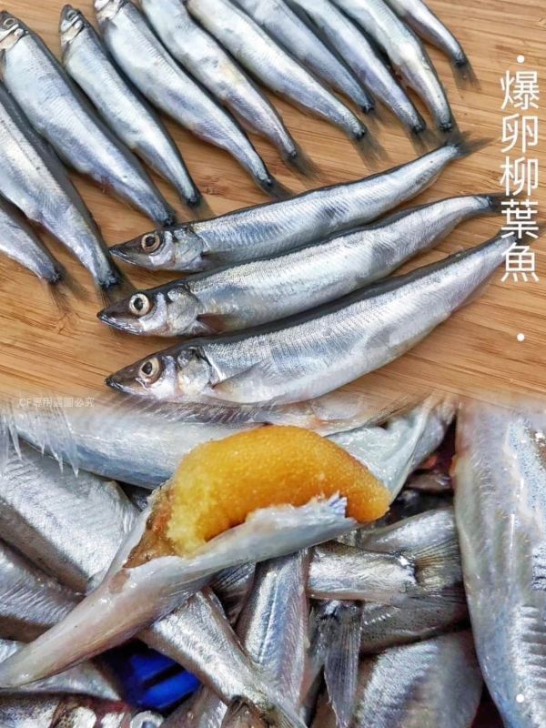 【加拿大抱卵柳葉魚】#純重 #無包冰 